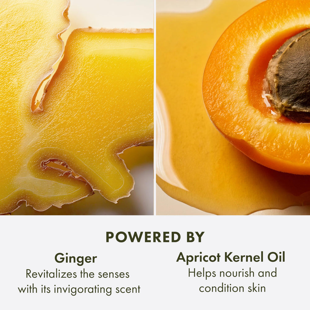 Origins contiene aceite de albaricoque para nutrir la piel.