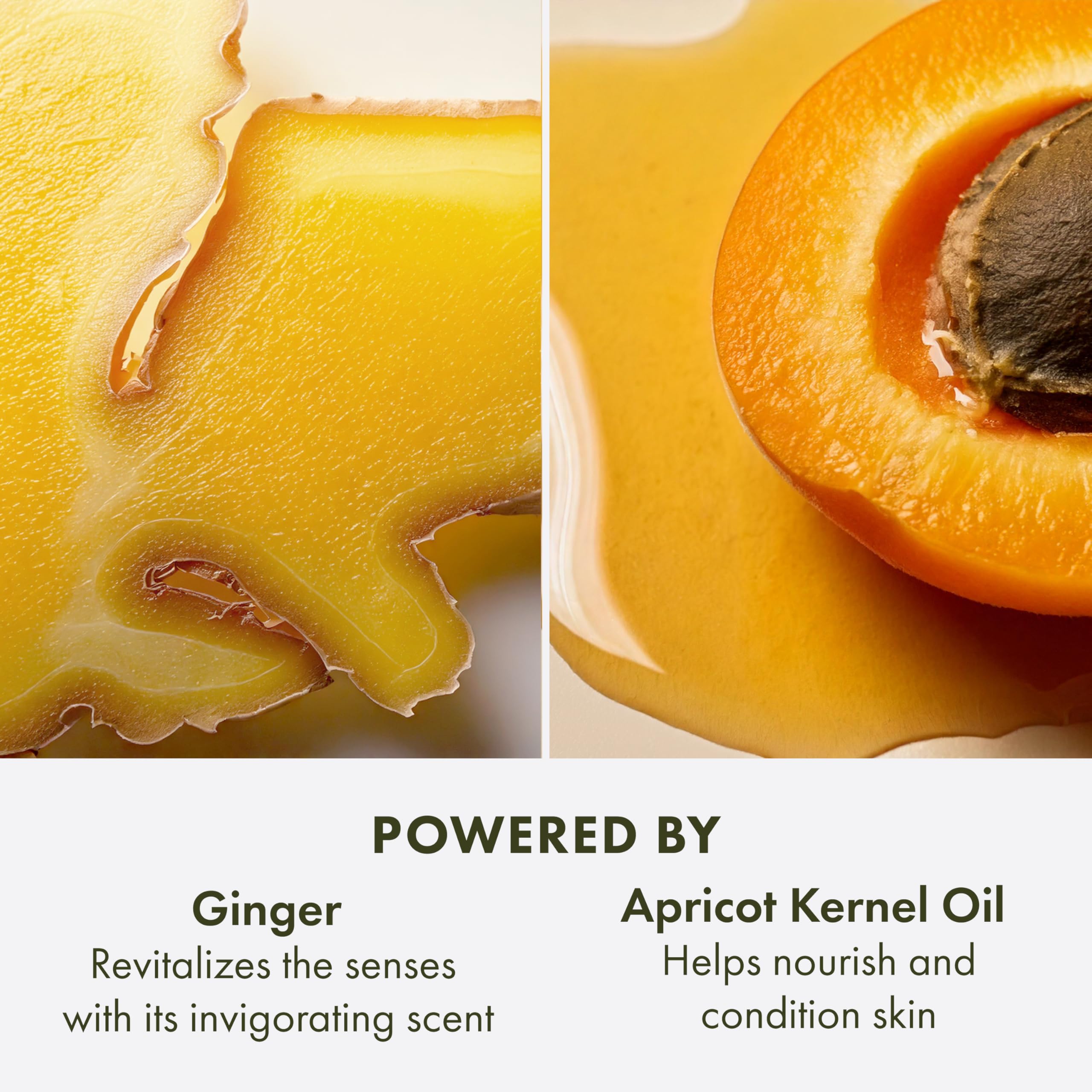 Origins fórmula vegana: crema libre de ingredientes de origen animal.