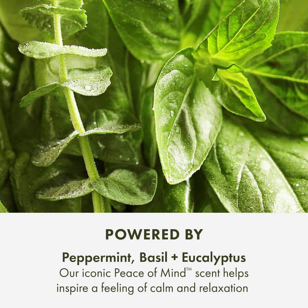 Origins Peace of Mind exfoliante corporal con ingredientes veganos y naturales.