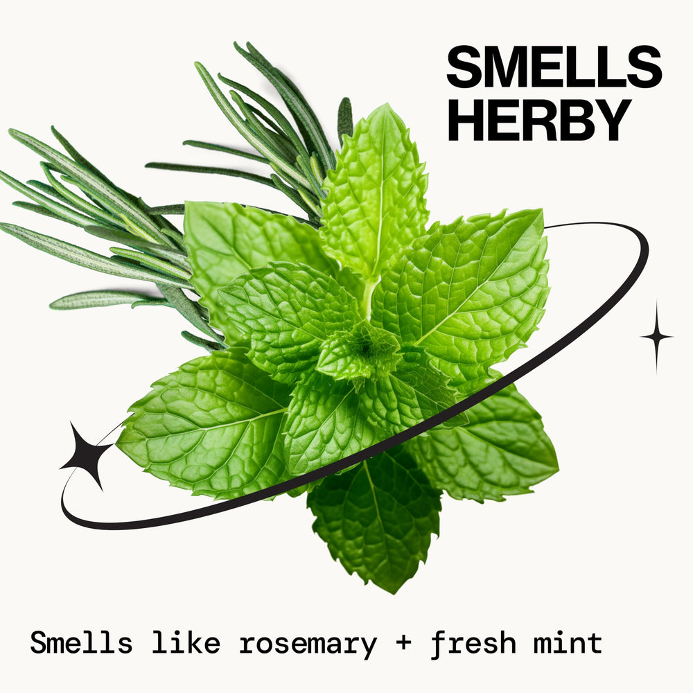 Pacifica Rosemary Mint Detox: extracto de corteza de sauce para exfoliar suavemente
