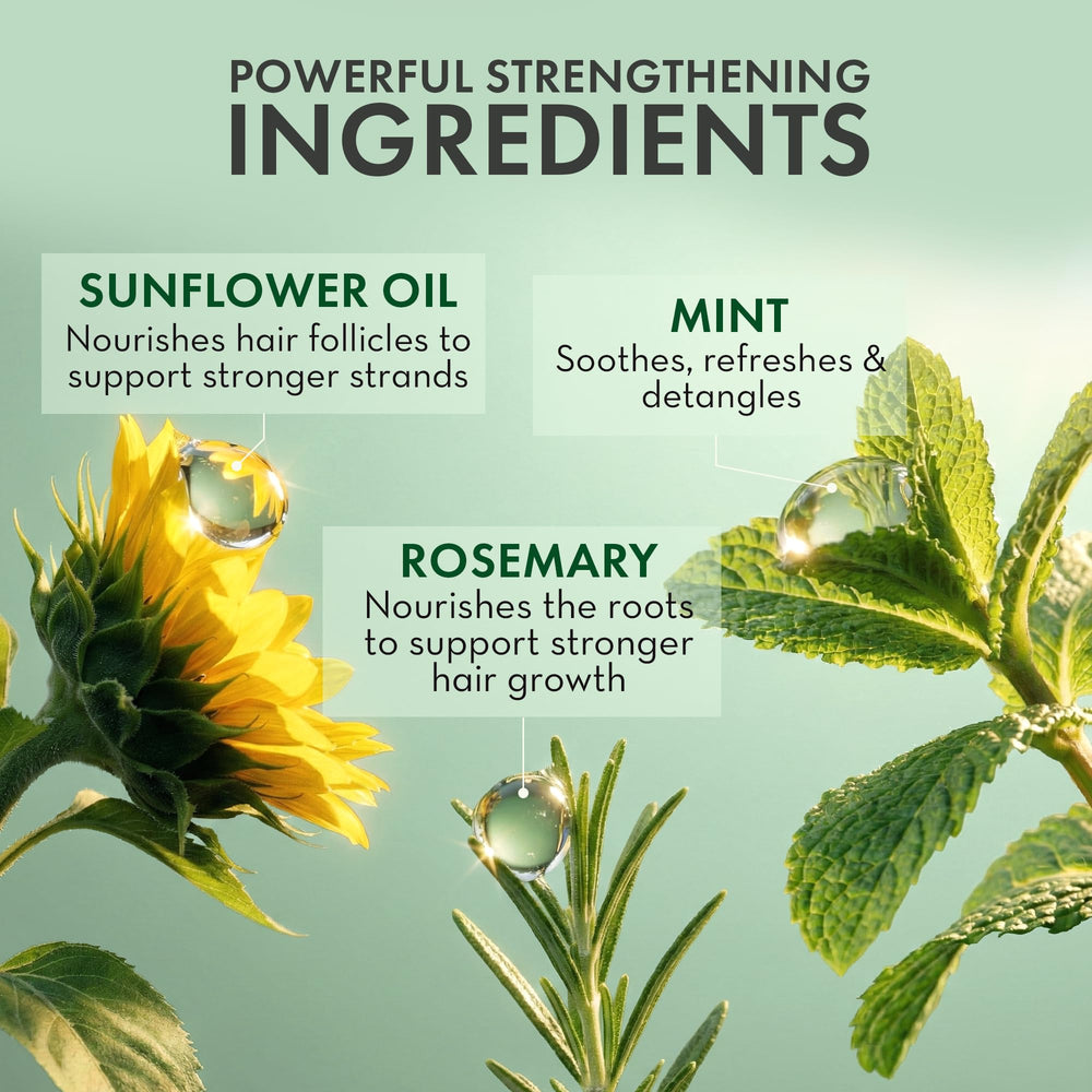 PHARM TO TABLE tea tree oil ingredient emphasizes scalp care hydration.