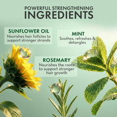 PHARM TO TABLE tea tree oil ingredient emphasizes scalp care hydration.