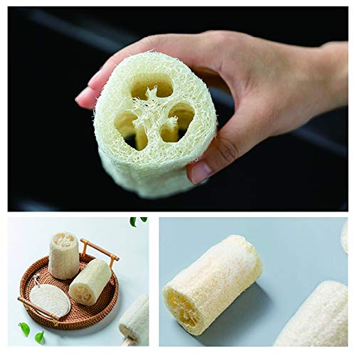 pisdoplop lufa natural para hacer jabones artesanales en casa
