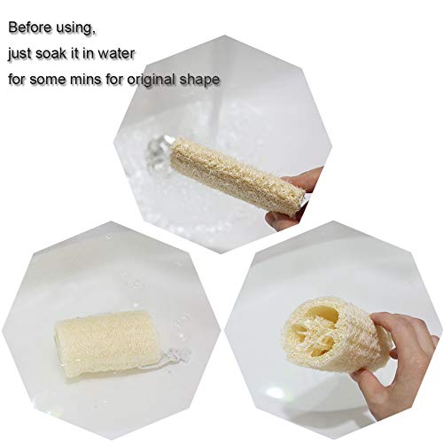 pisdoplop lufa natural para limpieza de cocina y platos