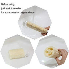 pisdoplop lufa natural para limpieza de cocina y platos
