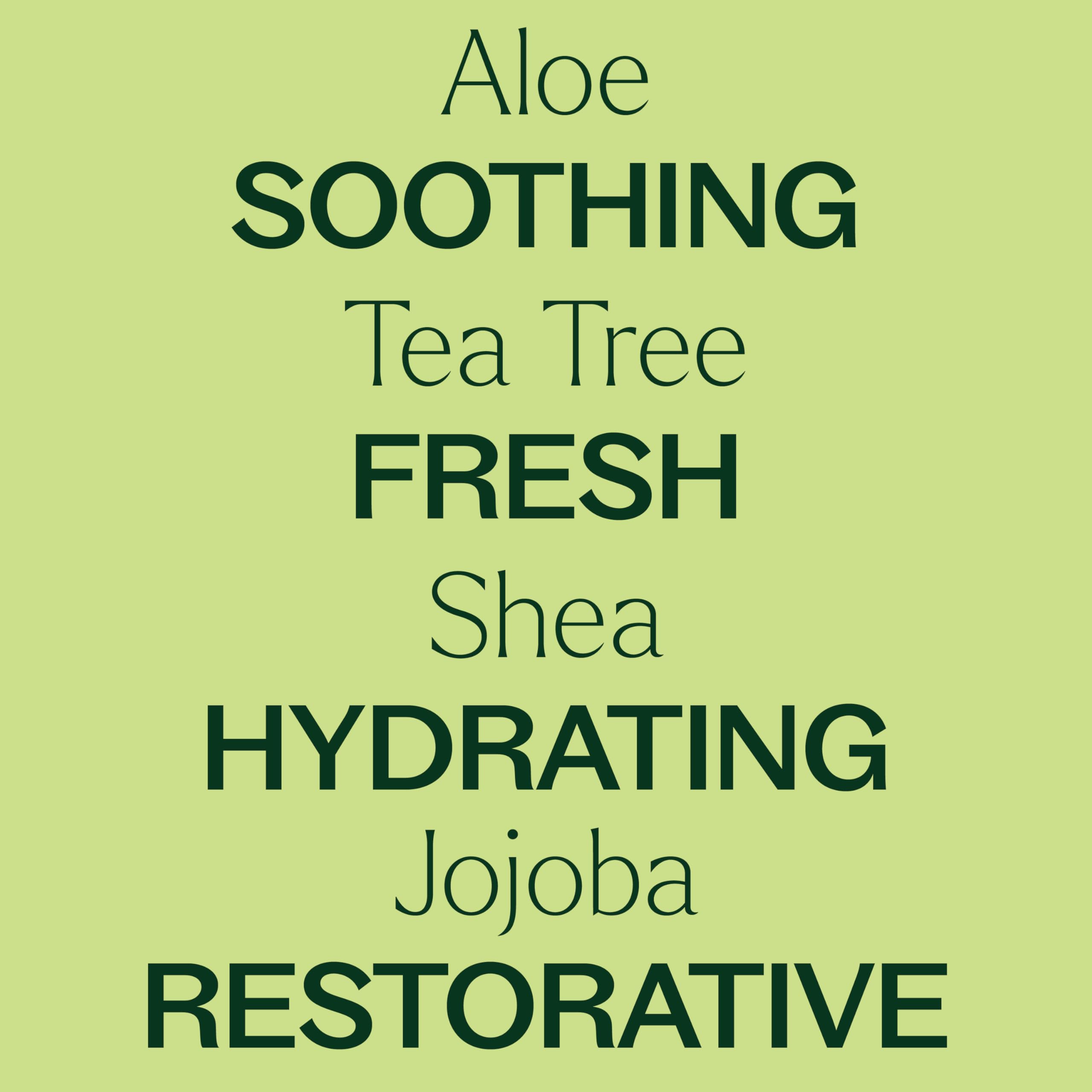 Plant Therapy aceite de árbol de té gotas para aroma fresco y piel sana