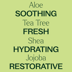 Plant Therapy aceite de árbol de té gotas para aroma fresco y piel sana