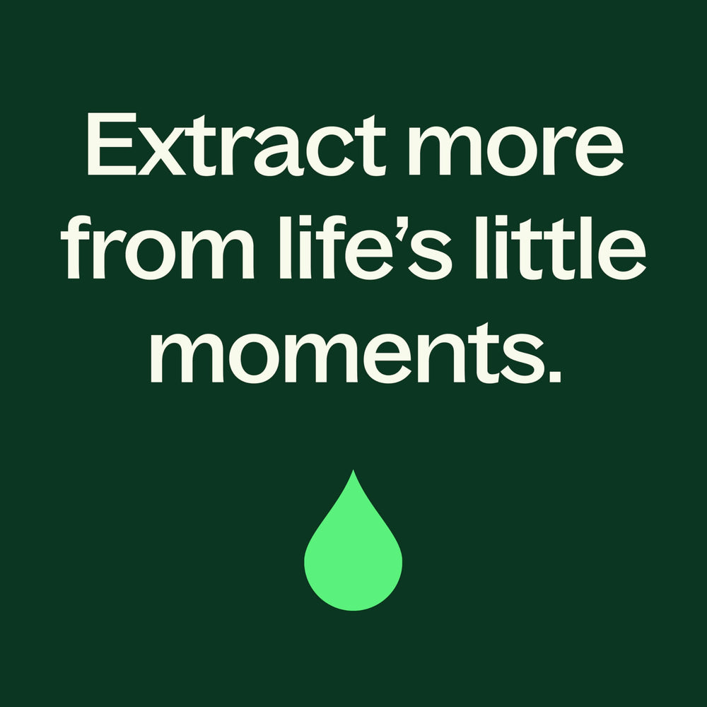 Aroma refrescante de menta para una experiencia revitalizante