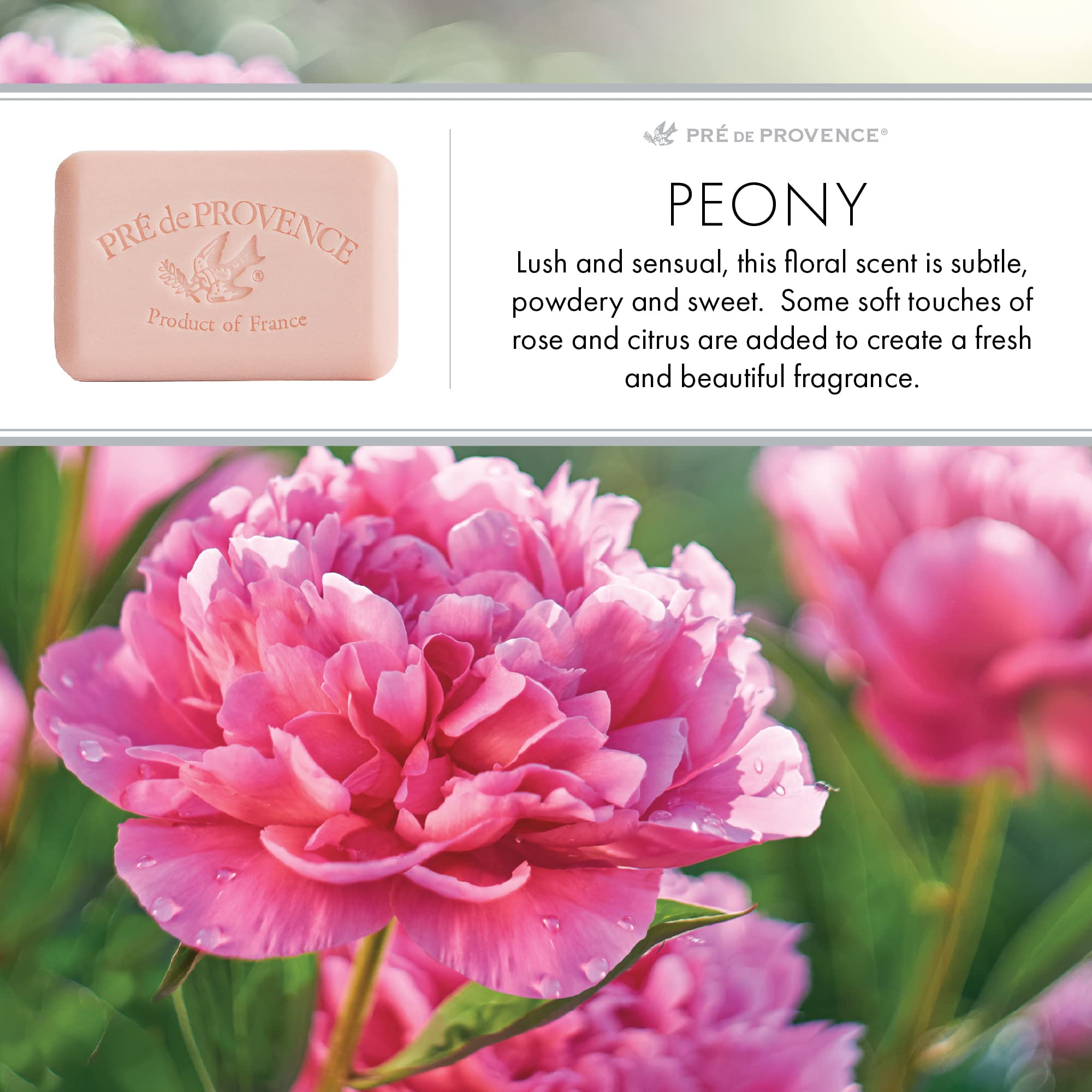 Aroma Peonia: fragancia floral para el baño.