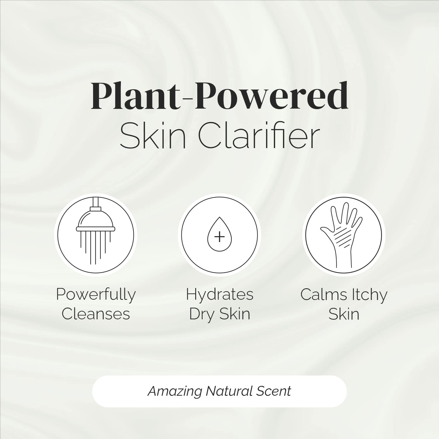 Puriya árbol de té, aroma de menta natural para despertar los sentidos.