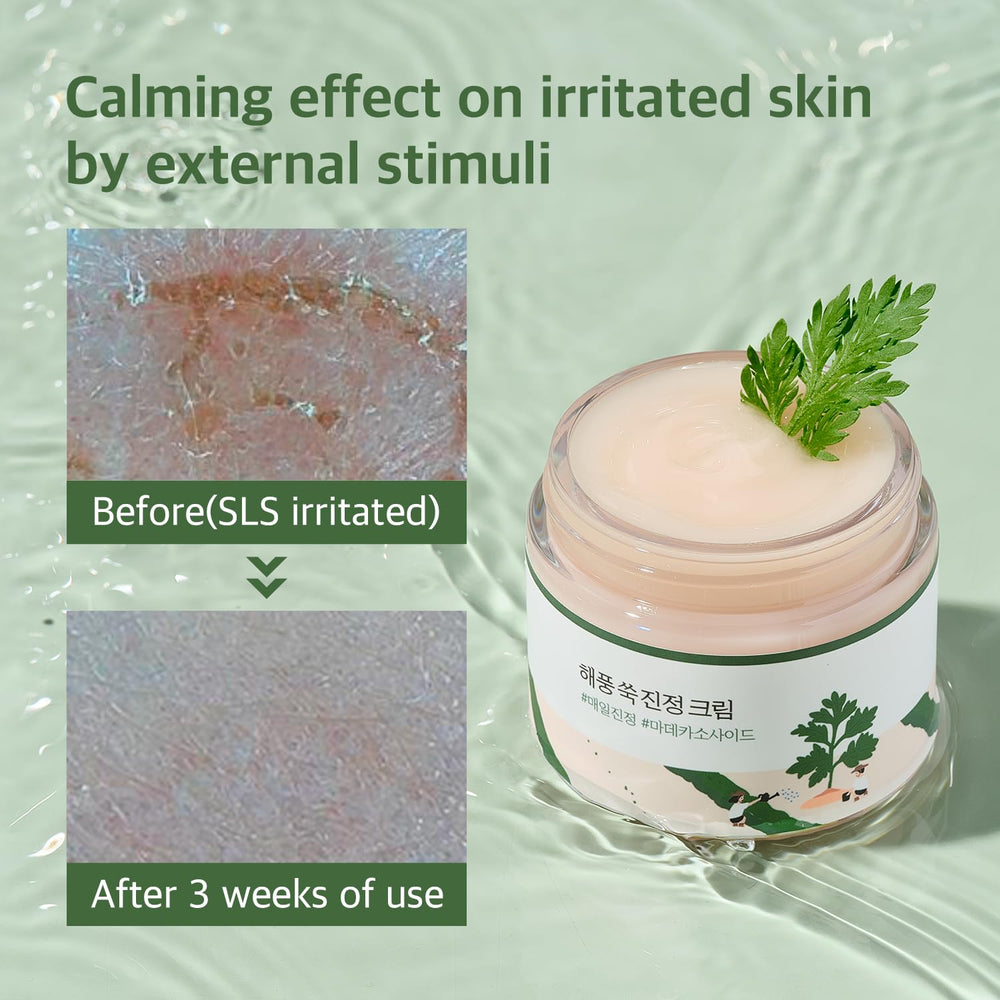 ROUND LAB Mugwort Calming Cream, etiqueta y envase, envase de 80 ml listo para uso diario.