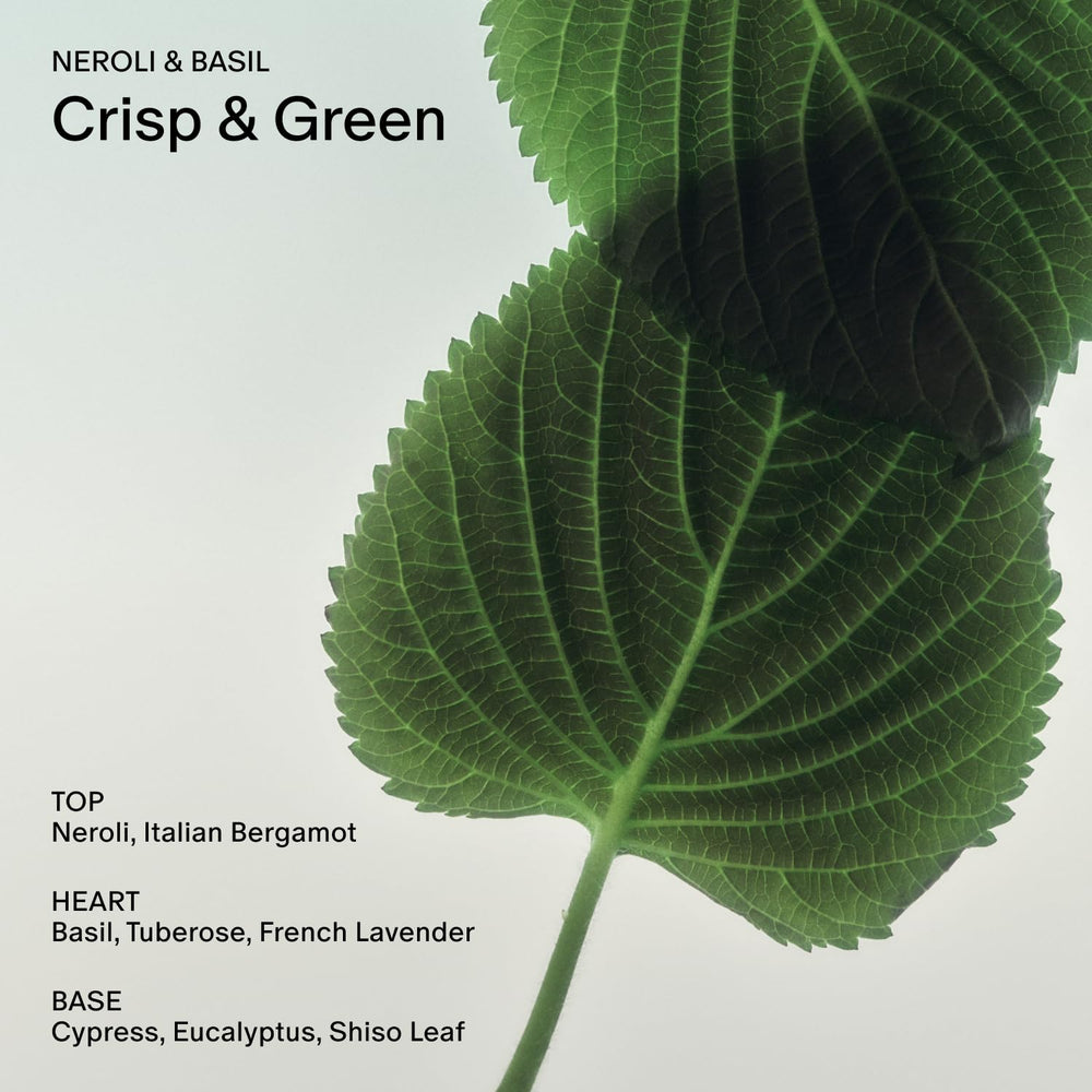 Salt and Stone Neroli Basil scent highlighting a crisp, energizing fragrance.