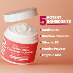 SeoulCeuticals mascarilla coreana con aloe vera calma e hidrata.