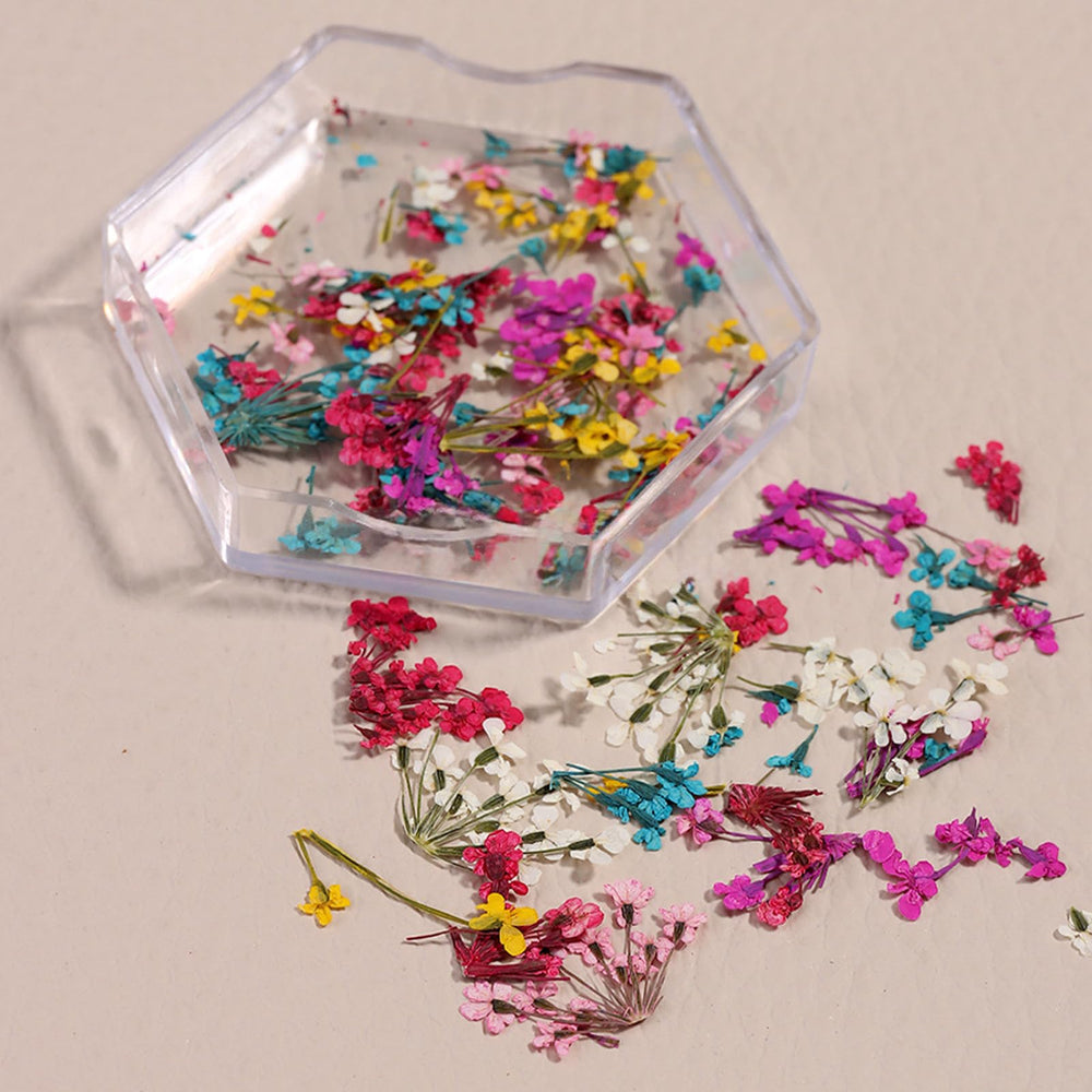 SILPECWEE: flores secas naturales en colores variados para embellecer uñas.