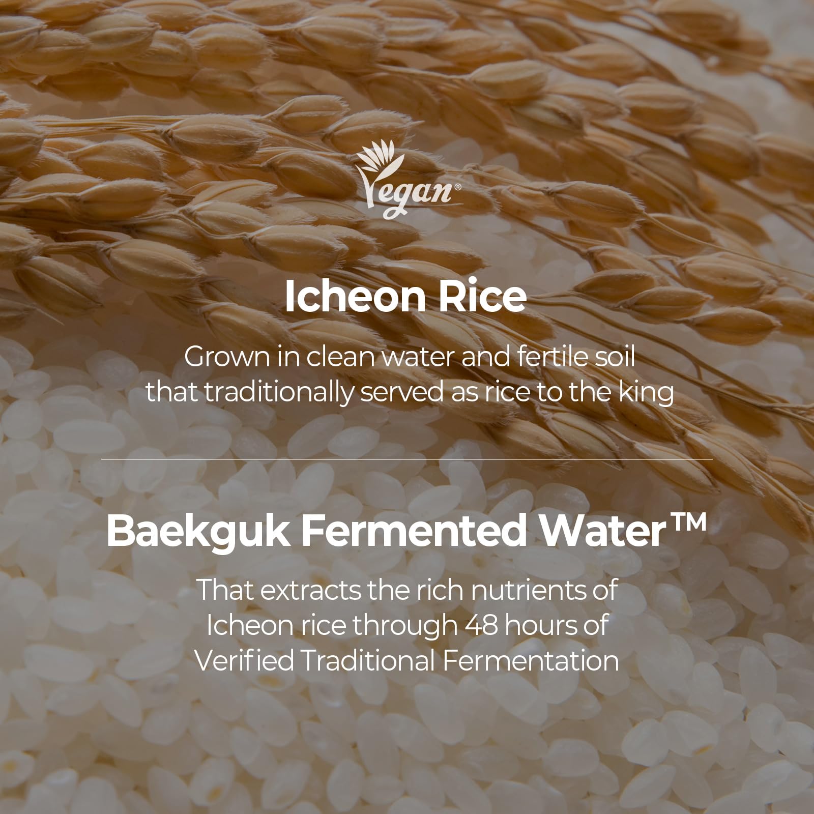SKINFOOD 1957 sérum de arroz, hidratación ligera y luminosidad