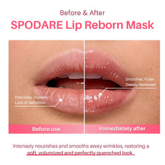 SPODARE mascarilla labial: textura gel sedosa que se desliza sin tirones