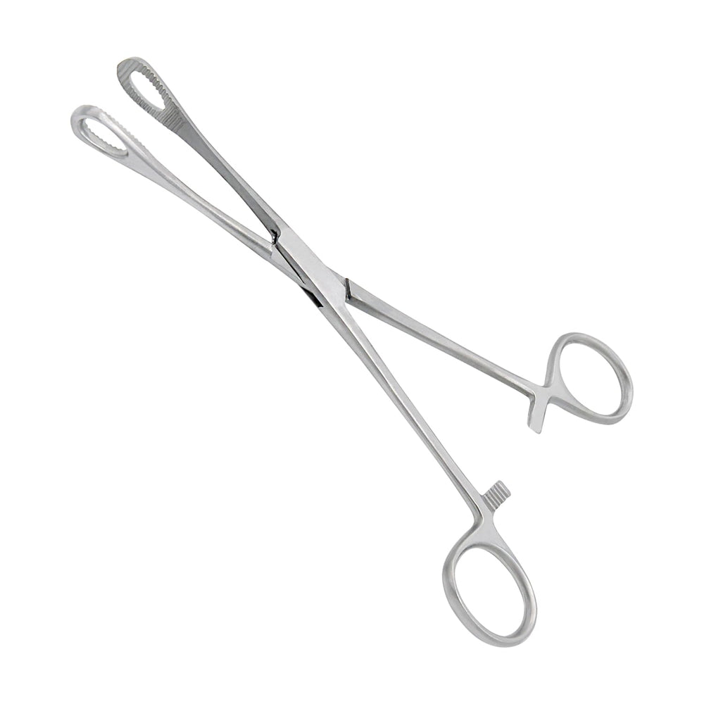 Pinzas SURGICAL ONLINE para piercing, curva serrada 7 pulgadas, precisión en maniobras.