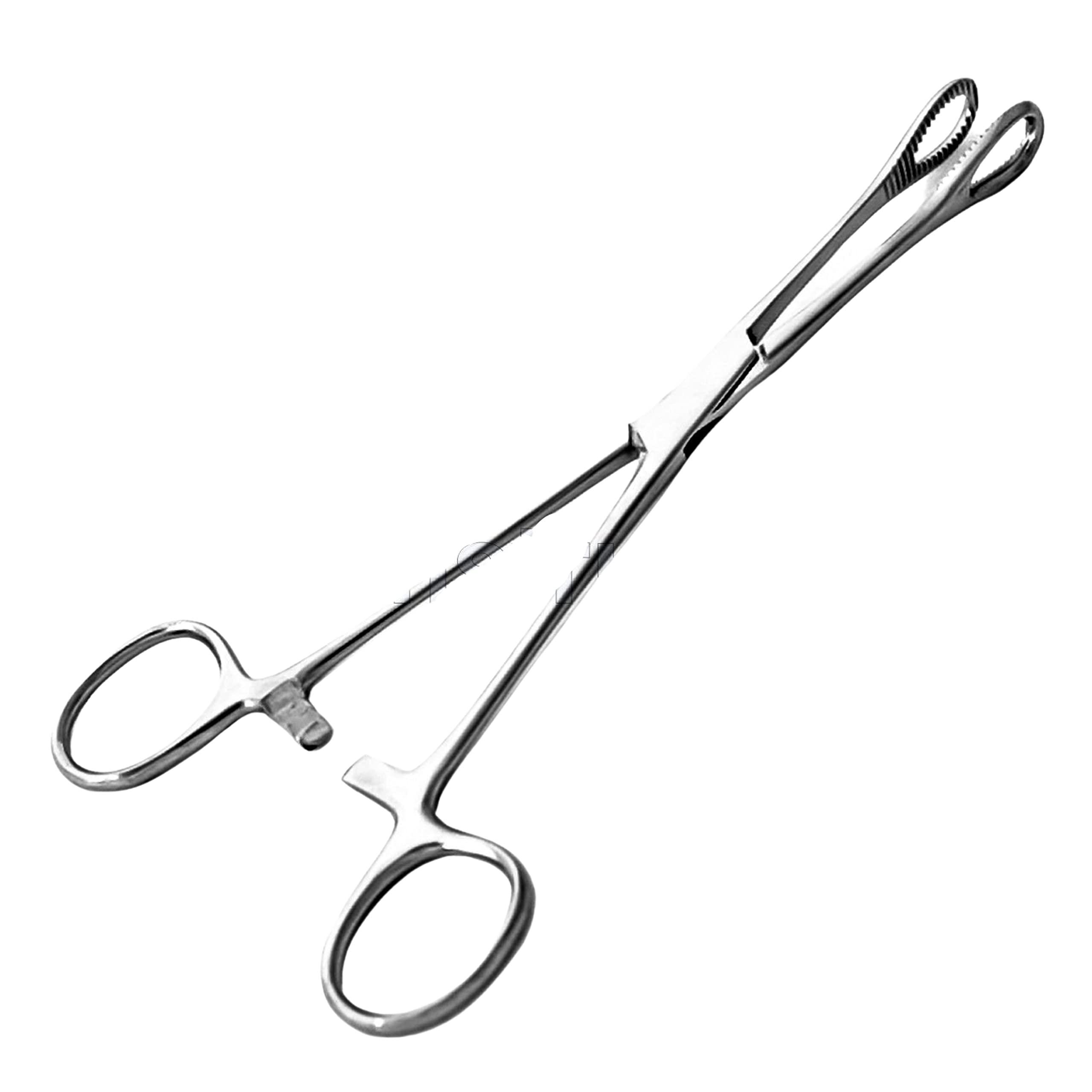 Pinzas SURGICAL ONLINE para piercing, curva serrada 9.5 pulgadas, mayor alcance.