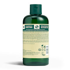 The Body Shop gel de ducha moringa espumoso, lavado suave y envolvente.