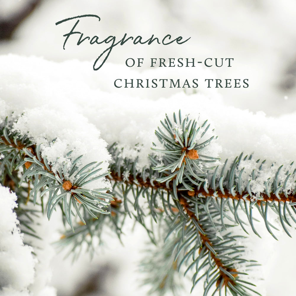 Thymes Frasier Fir, envase detallado, producto sin crueldad animal para manos.