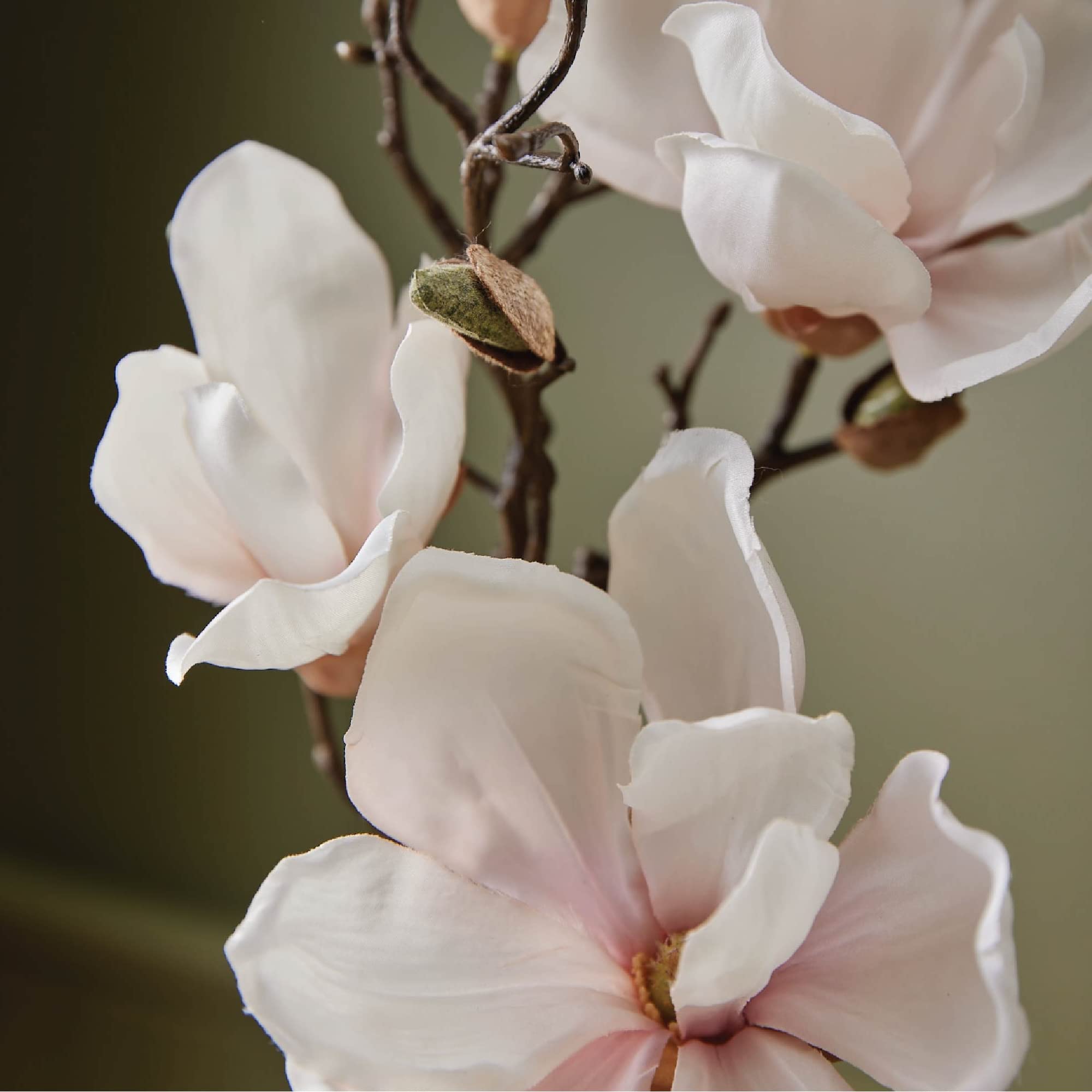 Primer plano de la botella muestra fragancia fresca Magnolia Willow.