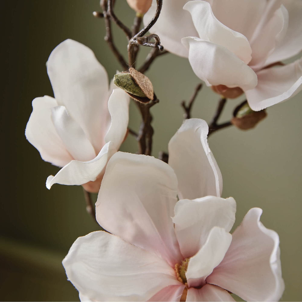Primer plano de la botella muestra fragancia fresca Magnolia Willow.