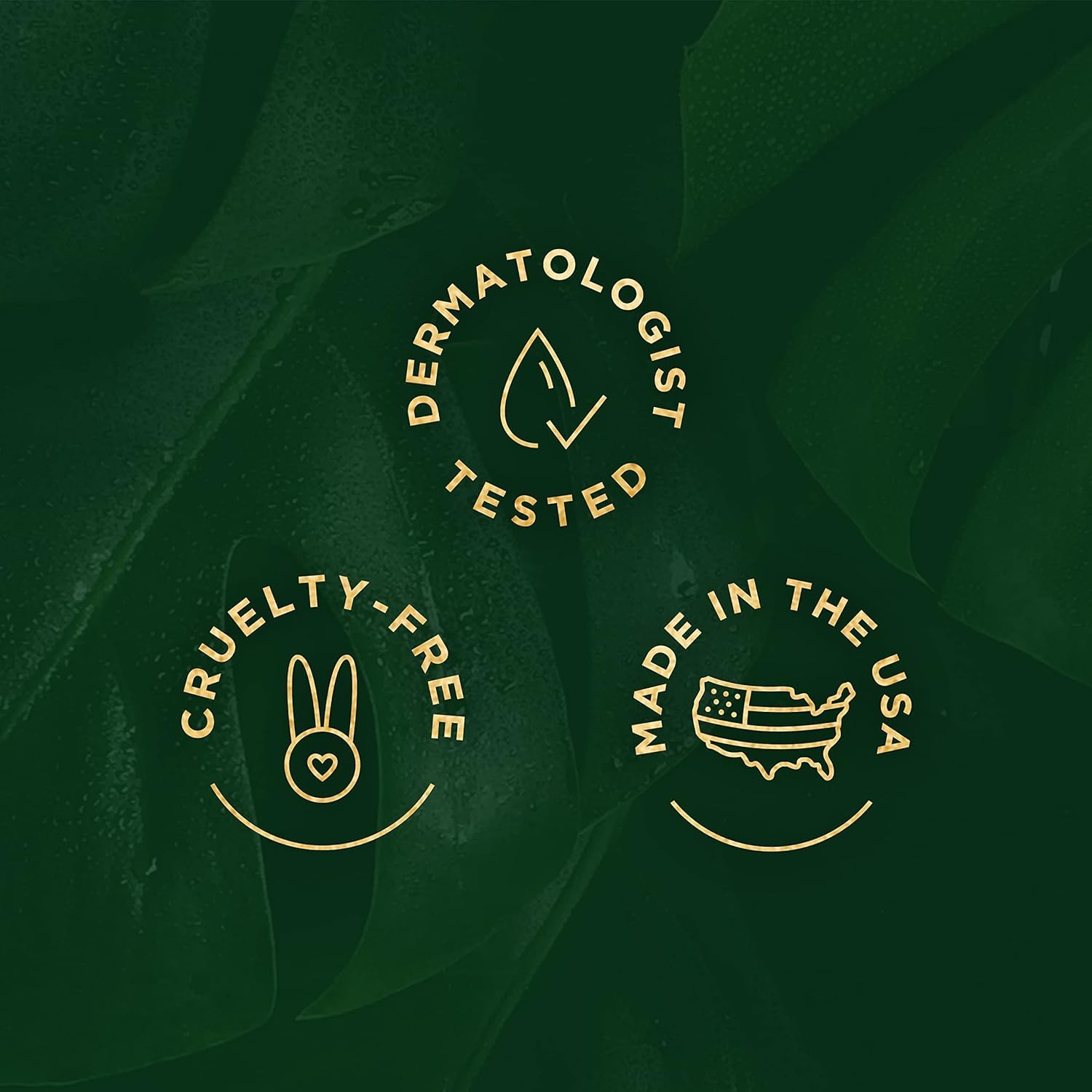Tree of Life Beauty Set de Cuidado – caja con los cuatro sueros