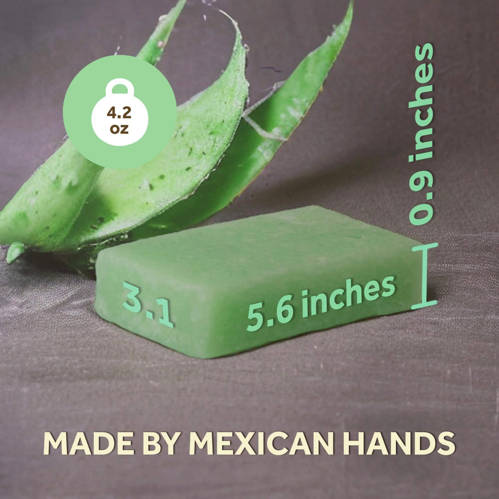 T.Taio Esponjabon Aloe Vera embalaje: producto listo para usar.