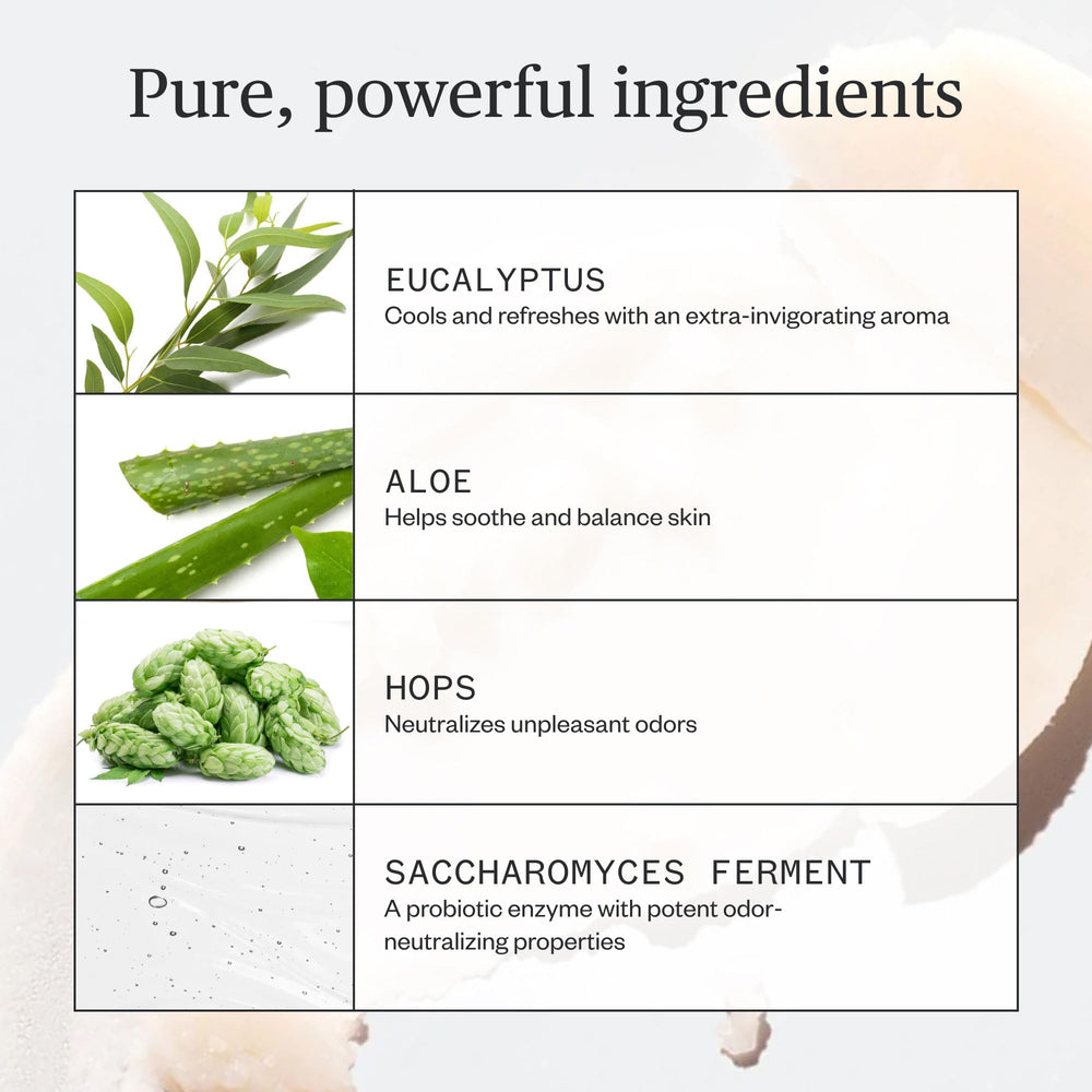 Ursa Major Hoppin' Fresh: ingredientes naturales que absorben la humedad suavemente.