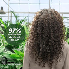VERB Density Peptide Shampoo, ingredientes clave palmetto y ginseng visibles.