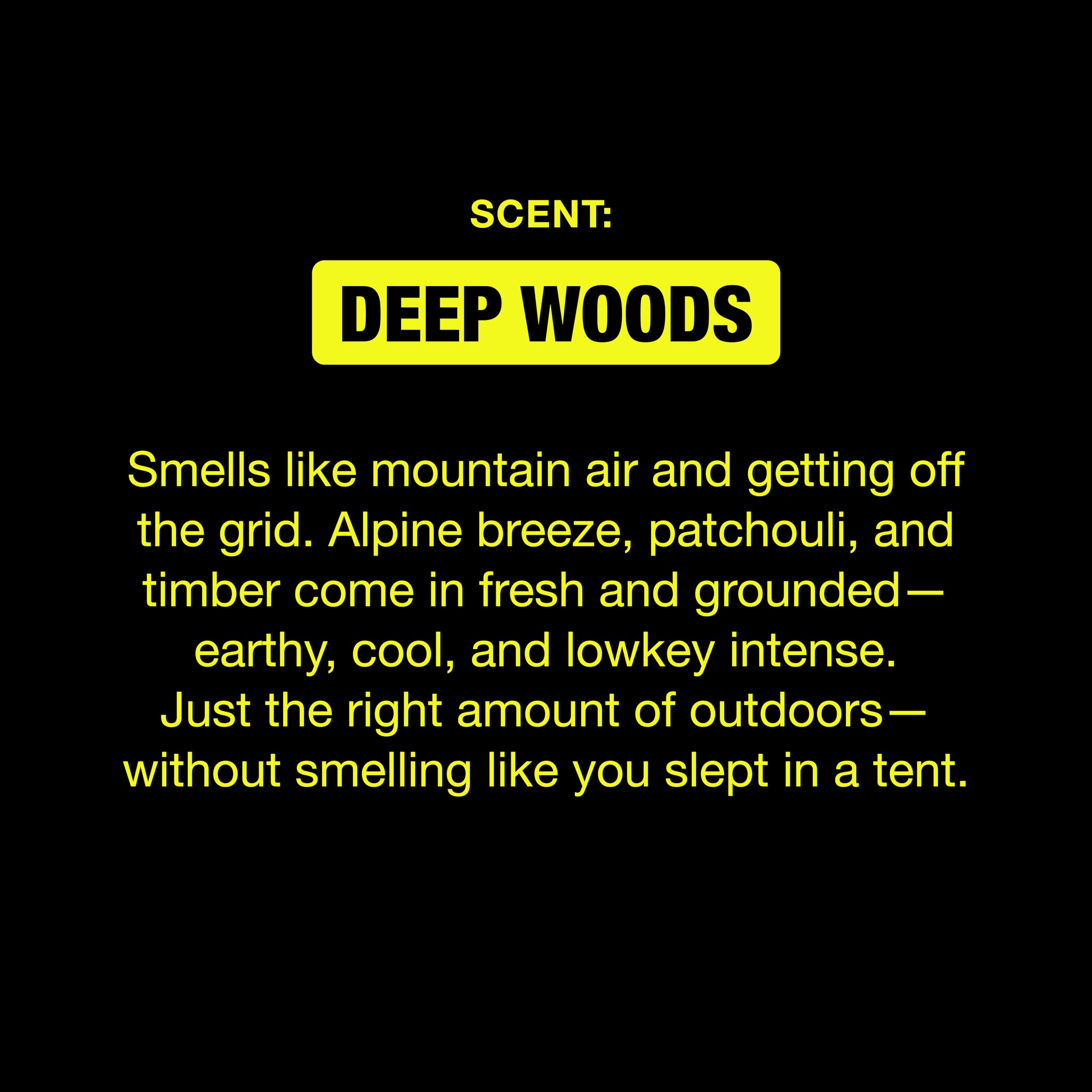 Aroma Deep Woods de W Jake Paul, sensación de bosque montañoso