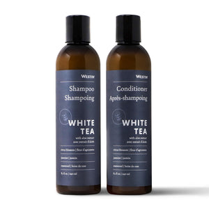 Westin champú White Tea Aloe, botella 236 ml, hidratación suave para cabello normal