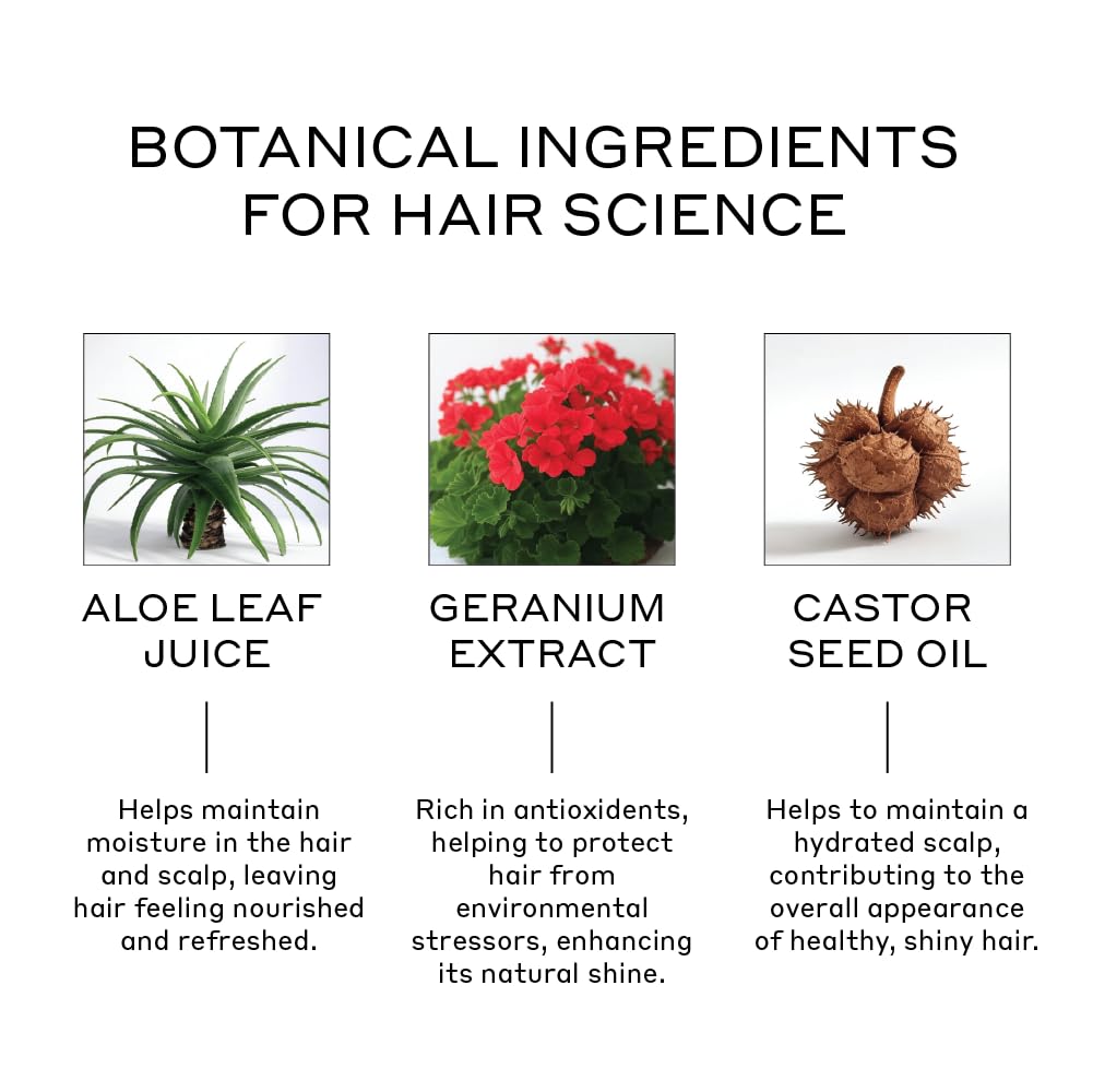 Zenagen Flexture Paste, extracto de geranio y aloe, ingredientes vegetales para cabello suave.